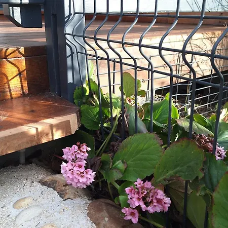 Apartment Cosy - Proche Lyon