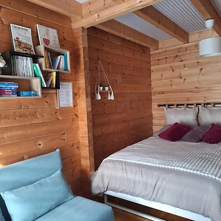 Cosy - Proche Lyon Apartment